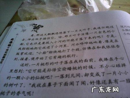 三年级关于秋天的好词好句有哪些 【抖音文案】三年级关于秋天的好词好句