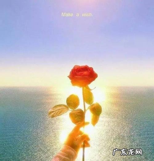 表达心情不愉快的句子 【抖音文案】心情不愉快的句子