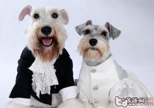 临床医学常见的微生态制剂详细介绍