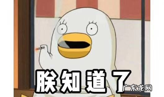 顾客在店内受伤是谁的责任？谁承责任？