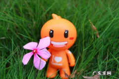 天猫品销宝是什么意思？怎么玩转？