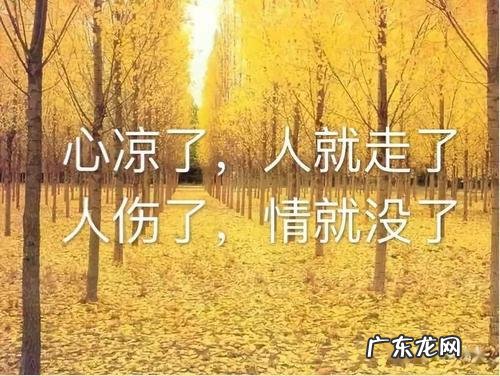 心情不好的句子伤感短语 【抖音文案】心情不好短语四个字