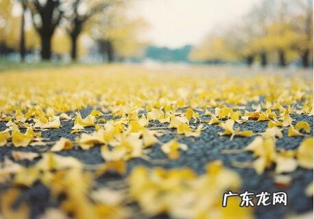 心情好的句子 【抖音文案】心情好的句子