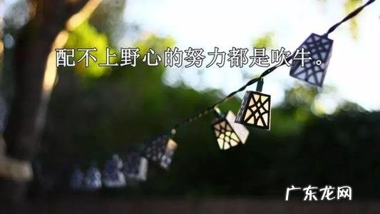 适合发朋友圈努力短句 【抖音文案】朋友圈努力的短句