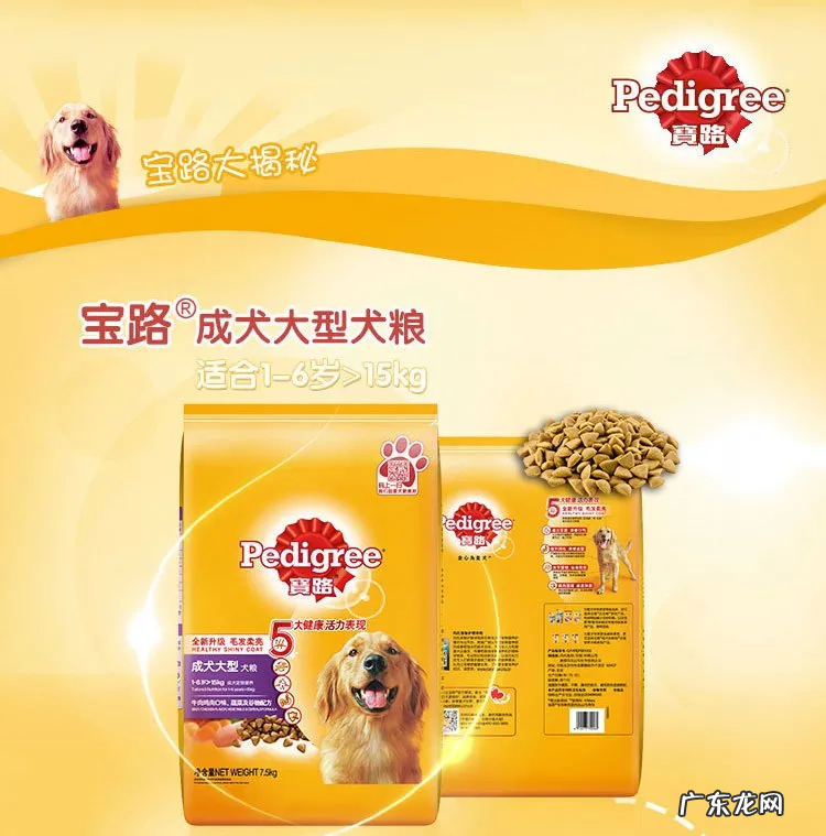 2021十大宠物食品品牌排行榜 宠物用品哪个牌子好