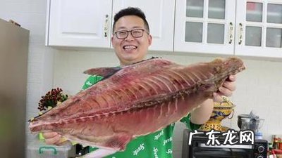 抖音半吨先生是哪里人?是怎么火起来的?