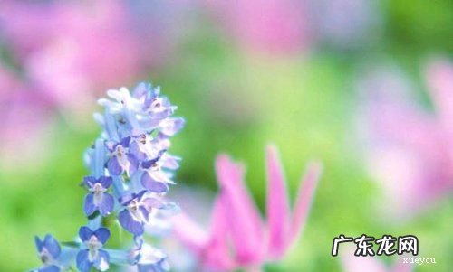 经典唯美的浪漫句子10字内吃饭时候 【抖音文案】经典唯美的浪漫句子