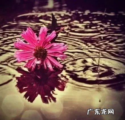 朋友圈说说的好短句女朋友 【抖音文案】朋友圈说说的好短句