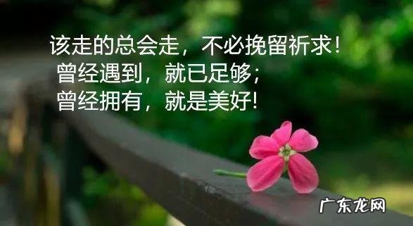 描写生日感动心情的句子 【抖音文案】表达感动的心情的句子