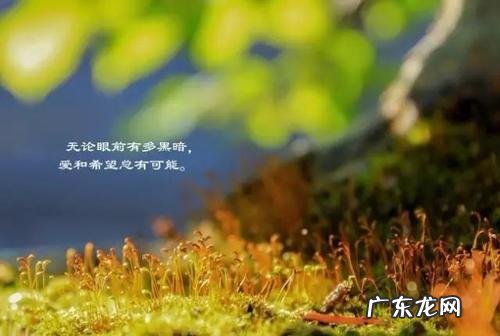 同事一起出游唯美句子 【抖音文案】朋友一起出游唯美句子