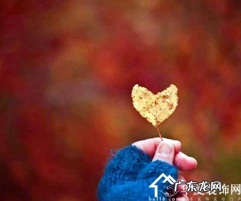 形容心情很低落的句子 【抖音文案】突然心情很低落的句子