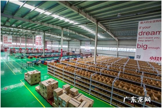 跨境电商小红书和蜜淘,年中大战怎么战?