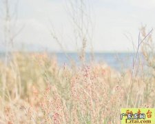 形容时光美好的短句 【抖音文案】形容时光快的短句