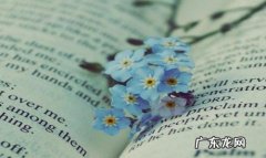 夏天结束的唯美句子 英文 【抖音文案】夏天结束的唯美句子