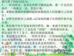 小学三年级描写秋天的校园的作文 【抖音文案】小学三年级描写秋天的好词好句