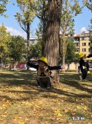 【抖音文案】秋游公园的感受的美句