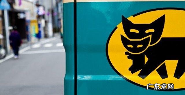 日企发力中国网购市场,今夏100家日本品牌入驻天猫