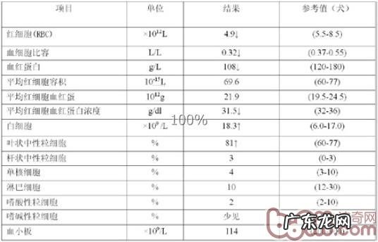 一例泰迪犬圆葱中毒的症状及诊治