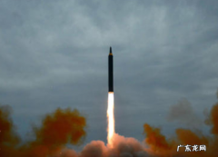 快递助手关联店铺代码在哪里看？