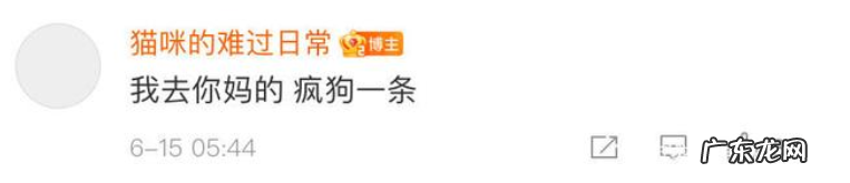 孙一宁个人资料简介 网红孙一宁是哪里人