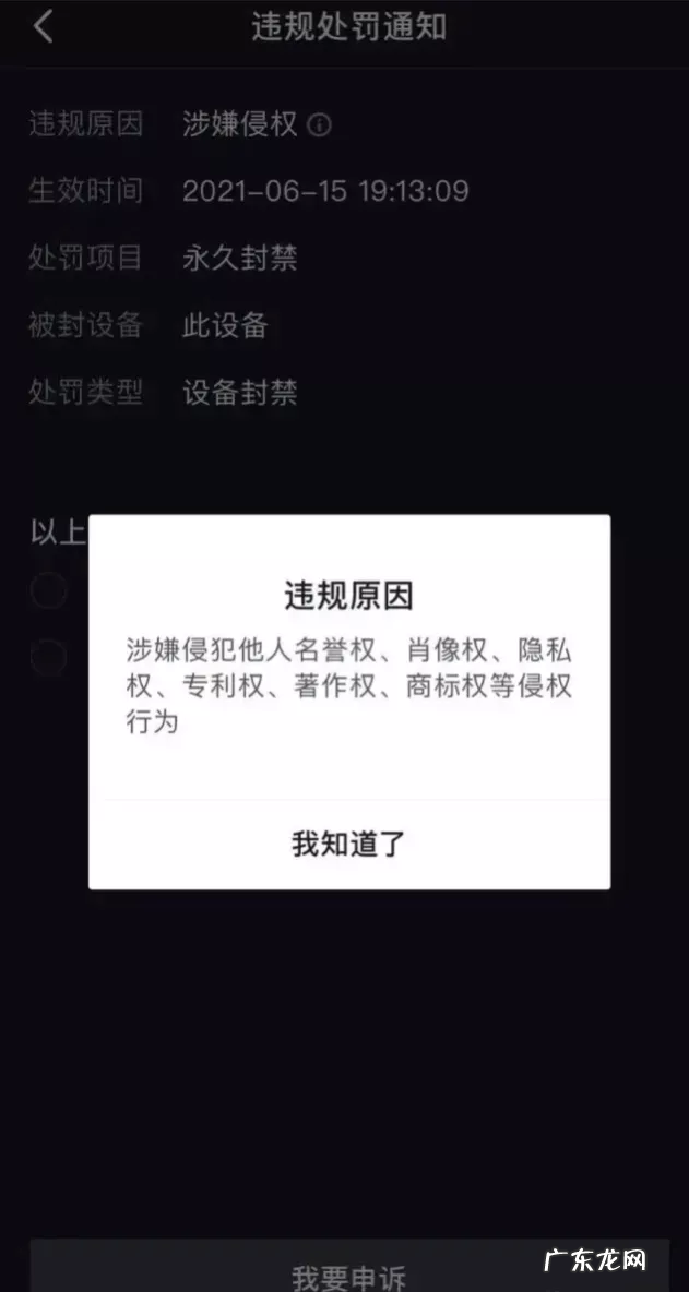 孙一宁个人资料简介 网红孙一宁是哪里人
