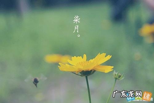 形容风景的句子唯美短句 【抖音文案】形容大风的句子唯美短句