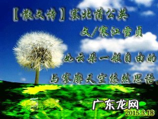 生活就像蒲公英的语句 【抖音文案】描写蒲公英的语句