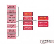 一篇变成繁育者必会专业知识帖