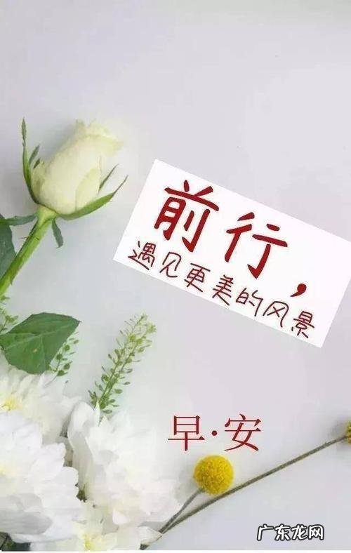 一群人一起努力的句子 【抖音文案】一群人一起努力的句子发朋友圈