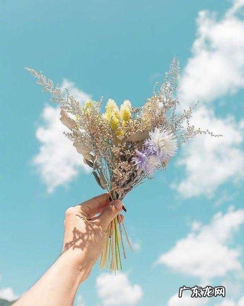 描写十一月的句子摘抄 【抖音文案】描写十一月的句子