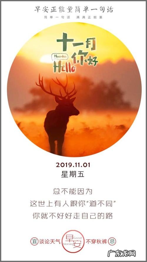 描写十一月的句子摘抄 【抖音文案】描写十一月的句子