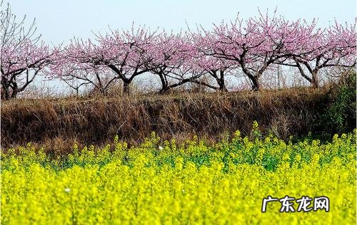 描写春天大自然的比喻句 【抖音文案】描写春天大自然的景象