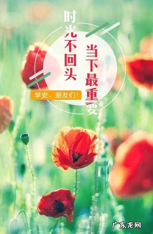 早上下雨发朋友圈的句子正能量 【抖音文案】发朋友圈的句子正能量