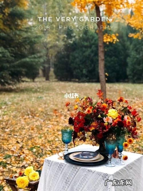 小学生秋游的朋友圈美句 【抖音文案】秋游的朋友圈美句