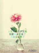 人生感悟正能量的句子简短的 【抖音文案】正能量人生感悟的句子