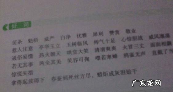 好词佳句简短 【抖音文案】好词佳句