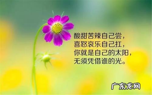 描写中国强大的句子霸气句子 【抖音文案】霸气句子很拽的句子