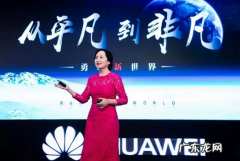 孟晚舟为什么不跟任正非姓呢？