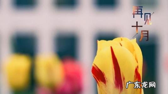 十月已过十一月的句子 【抖音文案】比喻十一月的句子