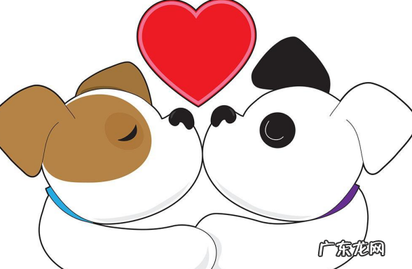 小狗来例假20多天正常吗