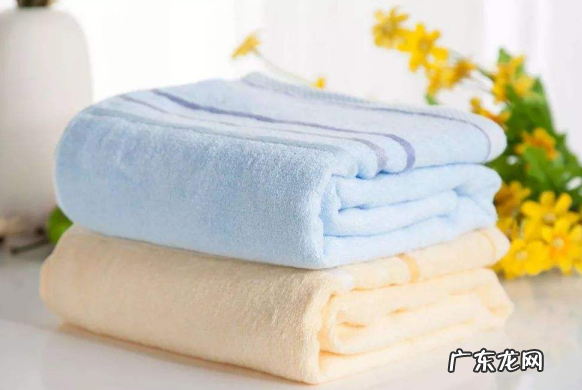 二个月比熊排便软乎乎的