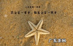 人生励志格言经典语录 【抖音文案】励志的句子经典语句100字