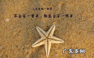 人生励志格言经典语录 【抖音文案】励志的句子经典语句100字