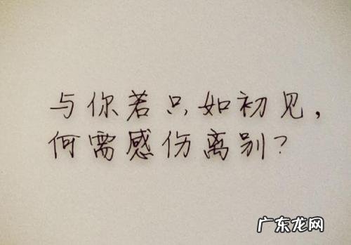 形容乌龟下蛋心情大好的句子 【抖音文案】形容心情大好的唯美句子