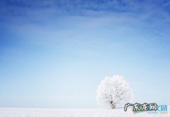 描写冬天的句子短句唯美 【抖音文案】描写冬天的句子短句