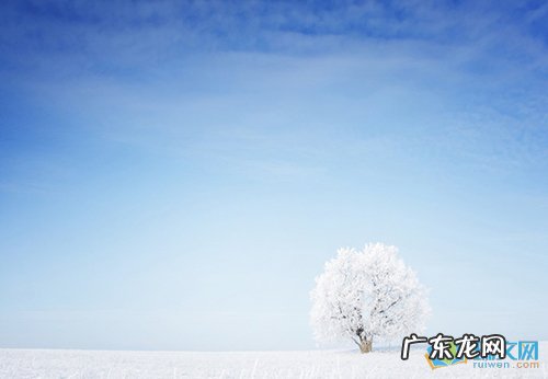 描写冬天的句子短句唯美 【抖音文案】描写冬天的句子短句