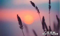 充满阳光的句子简短8个字 【抖音文案】充满阳光的句子