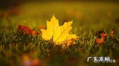 摘抄秋景的好句好段 【抖音文案】秋景美句摘抄大全