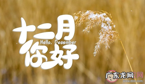 赞美激励的句子 大全 【抖音文案】赞美十二月激励的句子