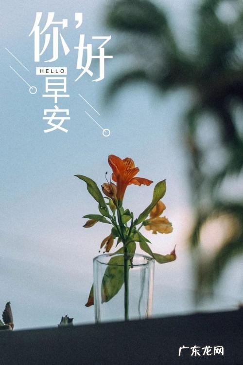 适合深夜努力工作发朋友圈的句子 【抖音文案】努力工作发朋友圈的句子